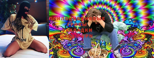 ПСИЛОЦИБИНОВЫЕ ГРИБЫ Алексеевка