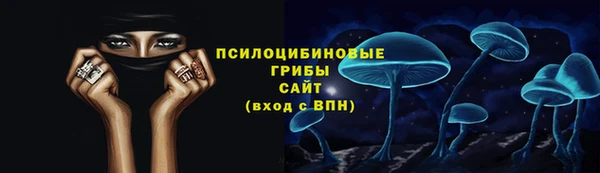 тгк Алзамай