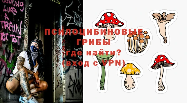 винт Армянск