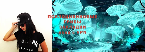 спайс Арсеньев