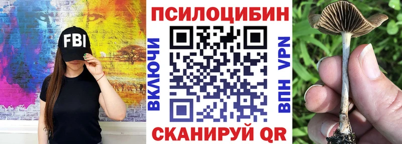 цены   Феодосия  MEGA маркетплейс  Псилоцибиновые грибы прущие грибы 